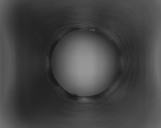 X0000100950380200806241128