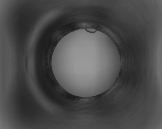 X0000100950381200806241128