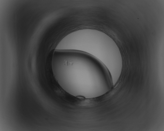 X0000100950382200806241128