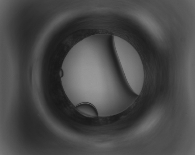 X0000100950383200806241128