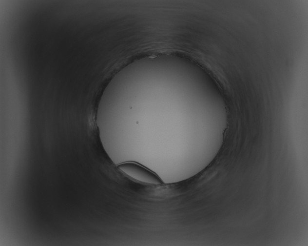 X0000100950384200806241128