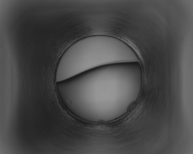 X0000100950385200806241127