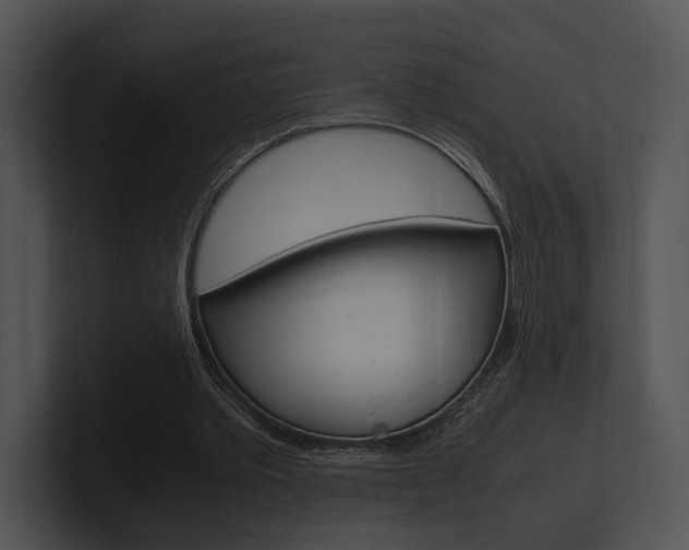 X0000100950389200806241127