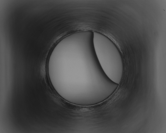 X0000100950390200806241127