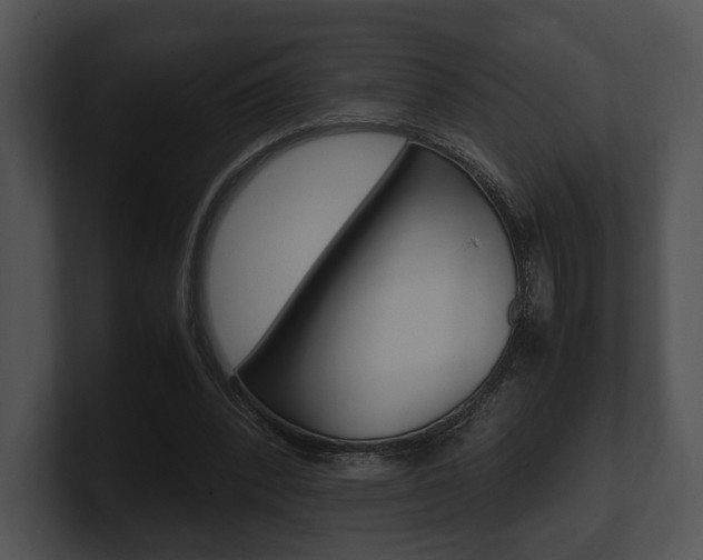 X0000100950392200806241127