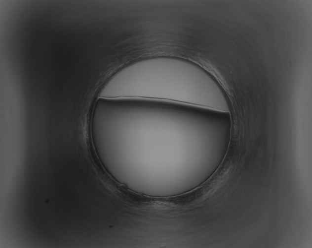 X0000100950393200806241127