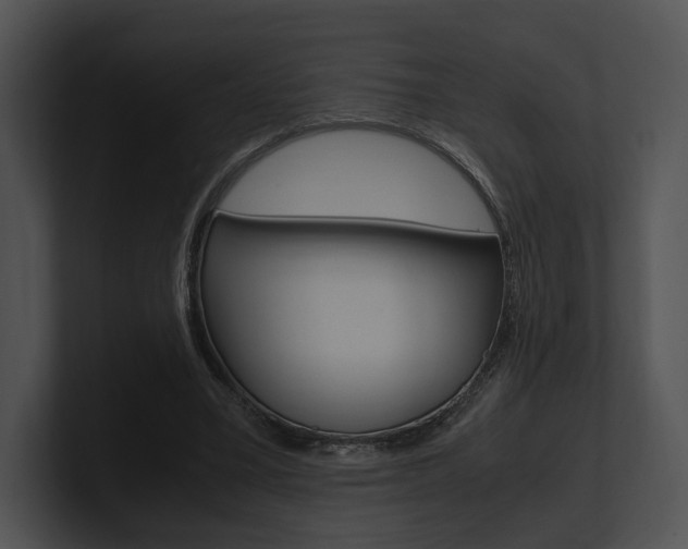 X0000100950395200806241127