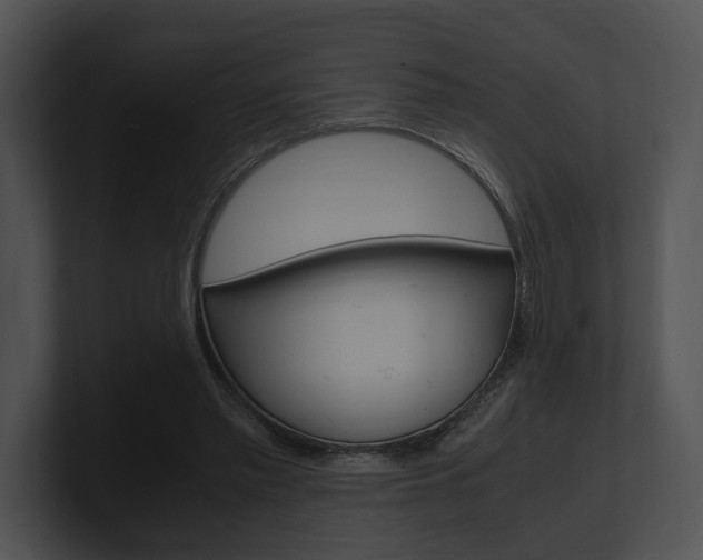 X0000100950397200806241127