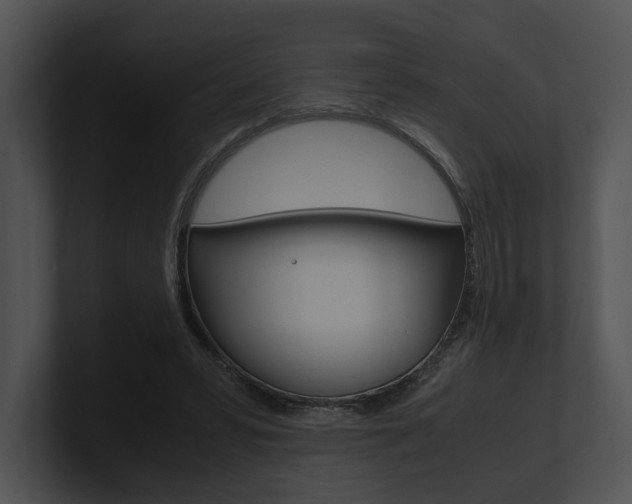 X0000100950399200806241127