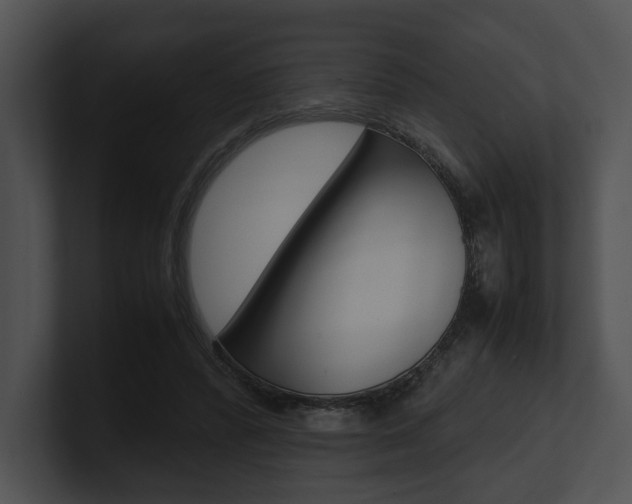 X0000100950400200806241127