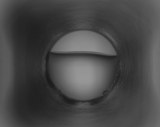 X0000100950403200806241127