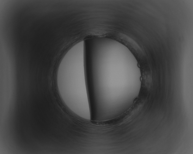 X0000100950404200806241127