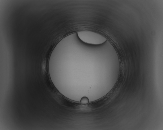 X0000100950406200806241127