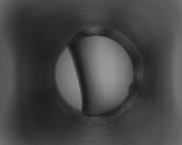 X0000100950408200806241127