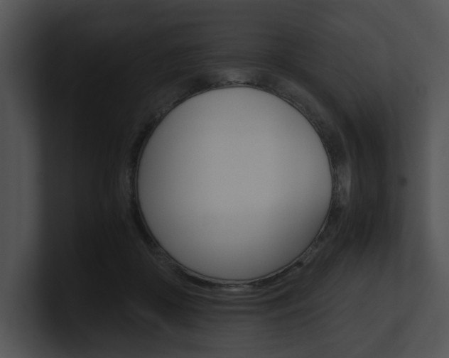 X0000100950410200806241127