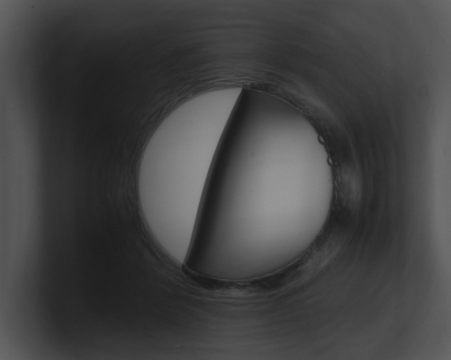 X0000100950412200806241127