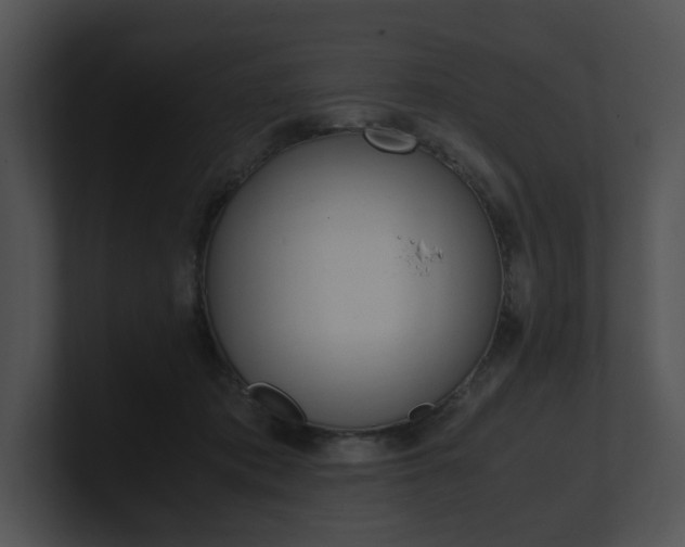 X0000100950413200806241127