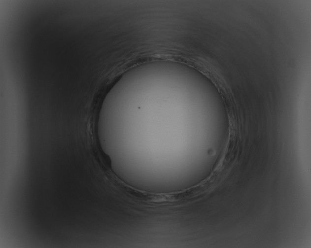 X0000100950415200806241127