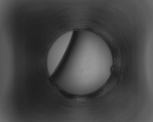 X0000100950416200806241127