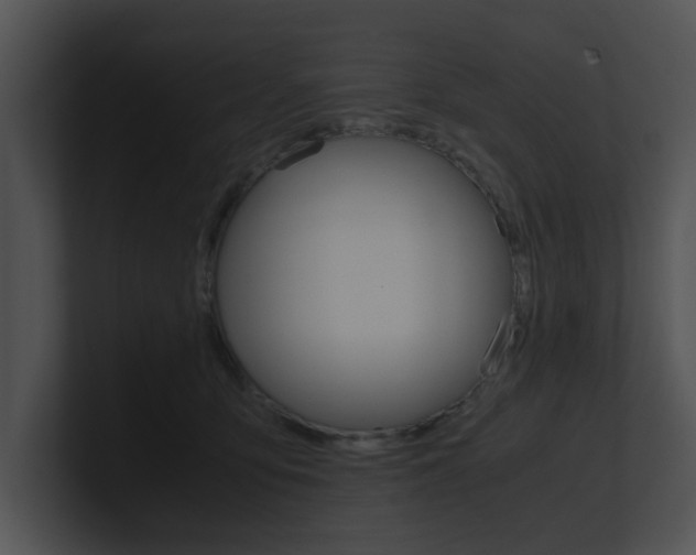X0000100950419200806241127