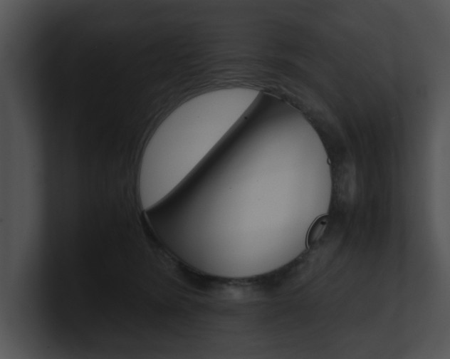 X0000100950420200806241127