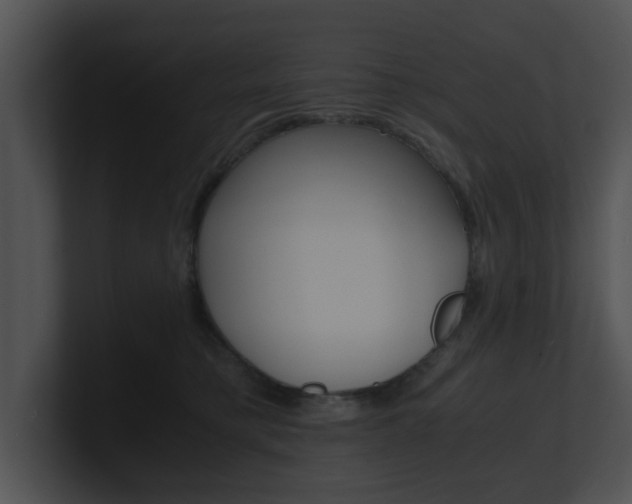 X0000100950421200806241127