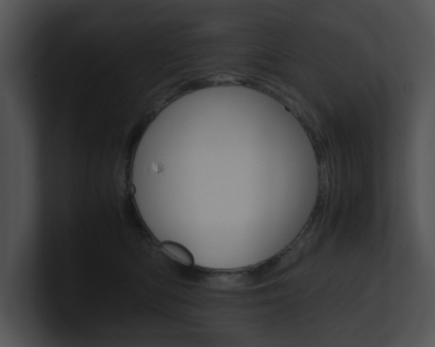 X0000100950422200806241127