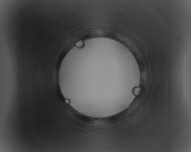 X0000100950423200806241127