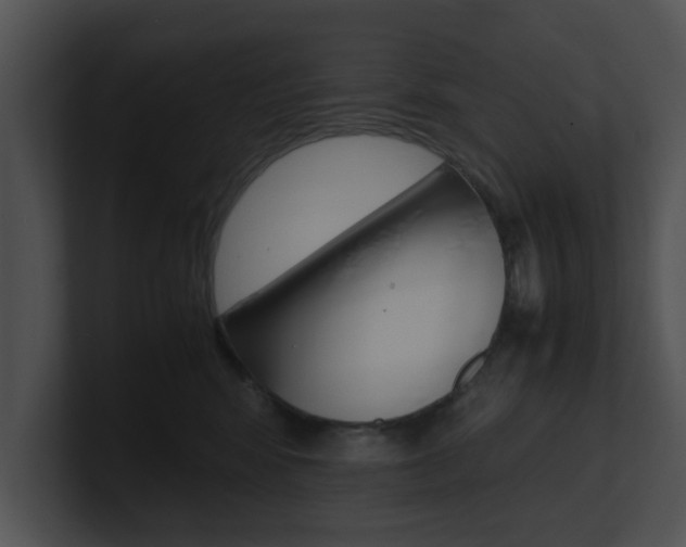 X0000100950424200806241127