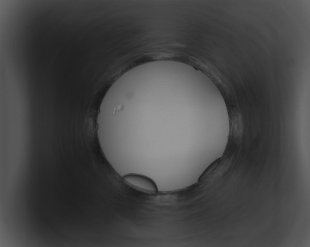 X0000100950426200806241127