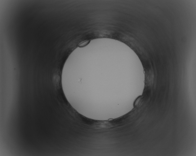 X0000100950427200806241127