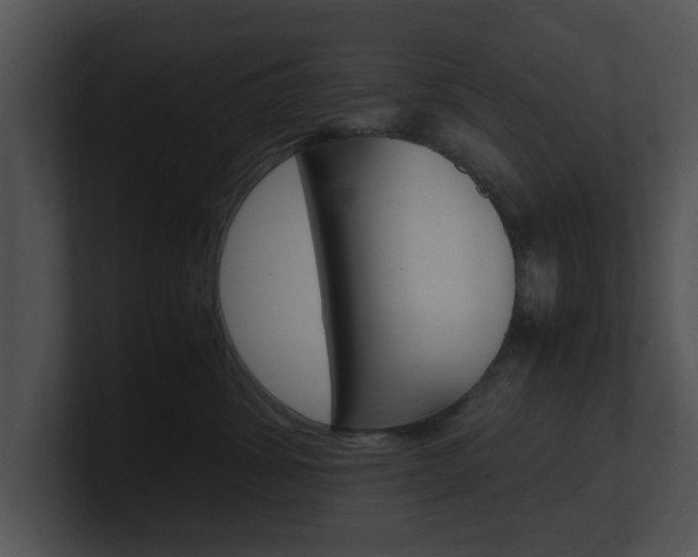 X0000100950428200806241127
