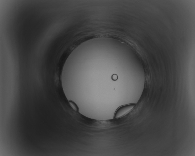 X0000100950429200806241127