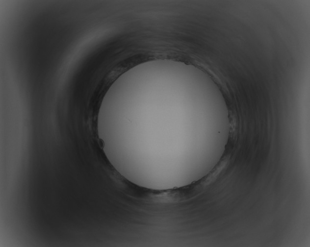 X0000100950430200806241127