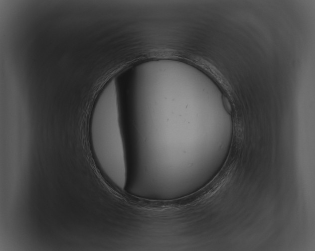 X0000100950433200806241126