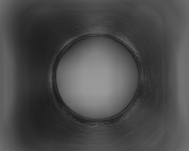 X0000100950434200806241126