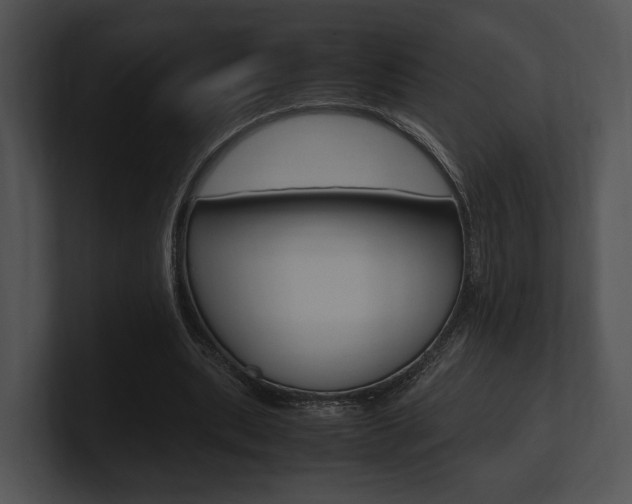 X0000100950439200806241126