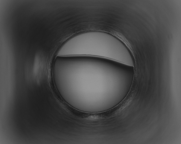 X0000100950441200806241126