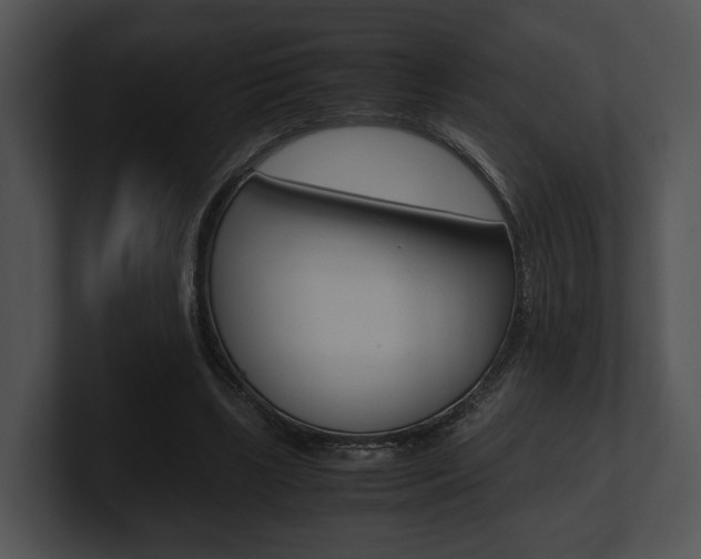 X0000100950443200806241126