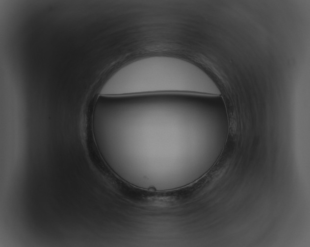 X0000100950448200806241126