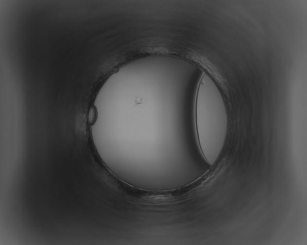 X0000100950449200806241126