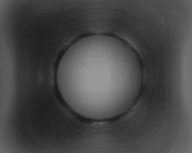 X0000100950450200806241126