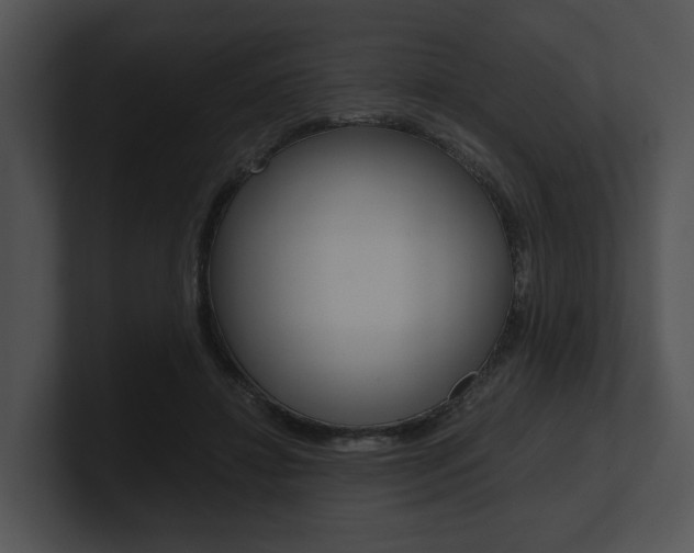 X0000100950452200806241126