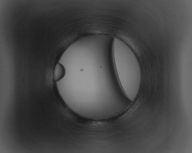 X0000100950453200806241126