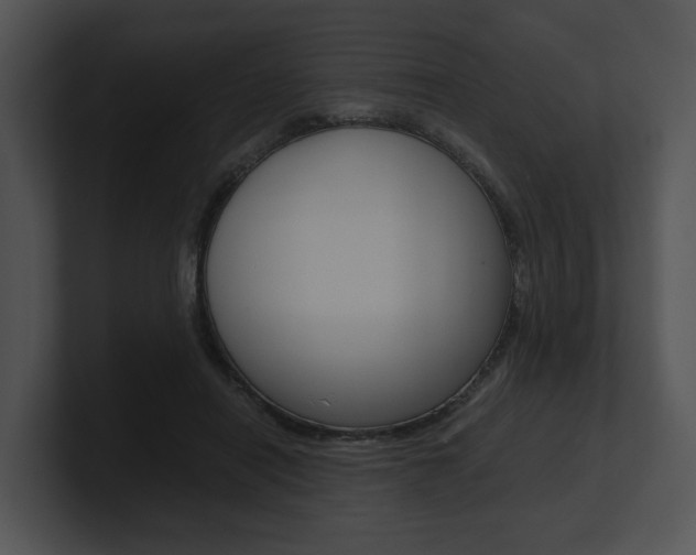 X0000100950454200806241126