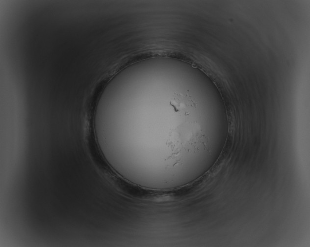 X0000100950456200806241126