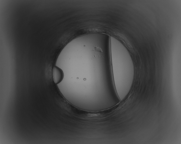 X0000100950457200806241126