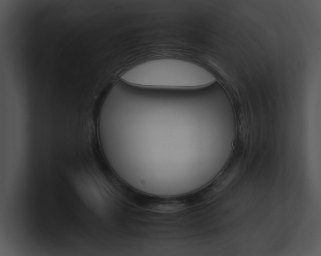 X0000100950459200806241126