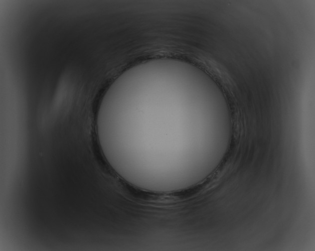 X0000100950463200806241126