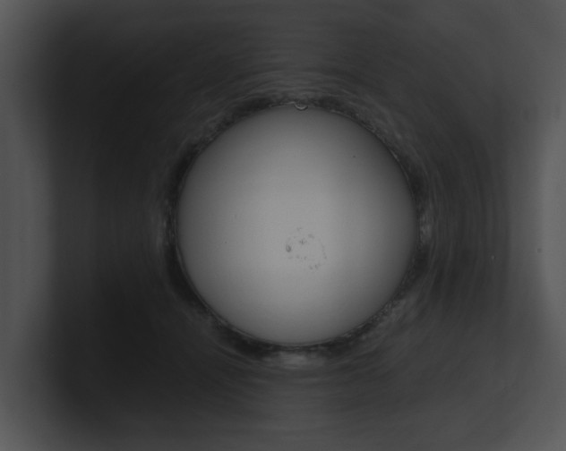 X0000100950464200806241126